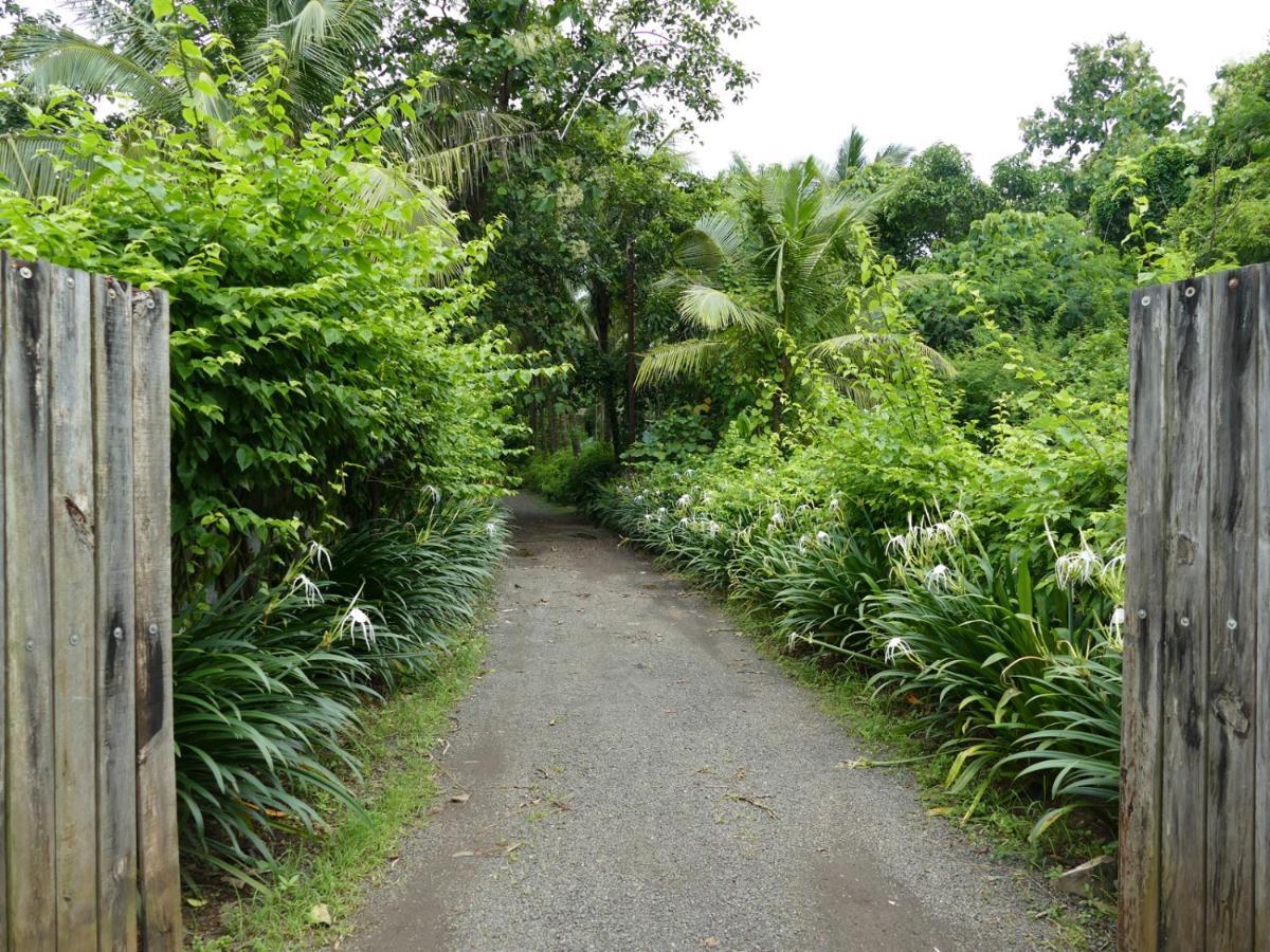 Mango Beach Villas Kihim Alibaug 外观 照片